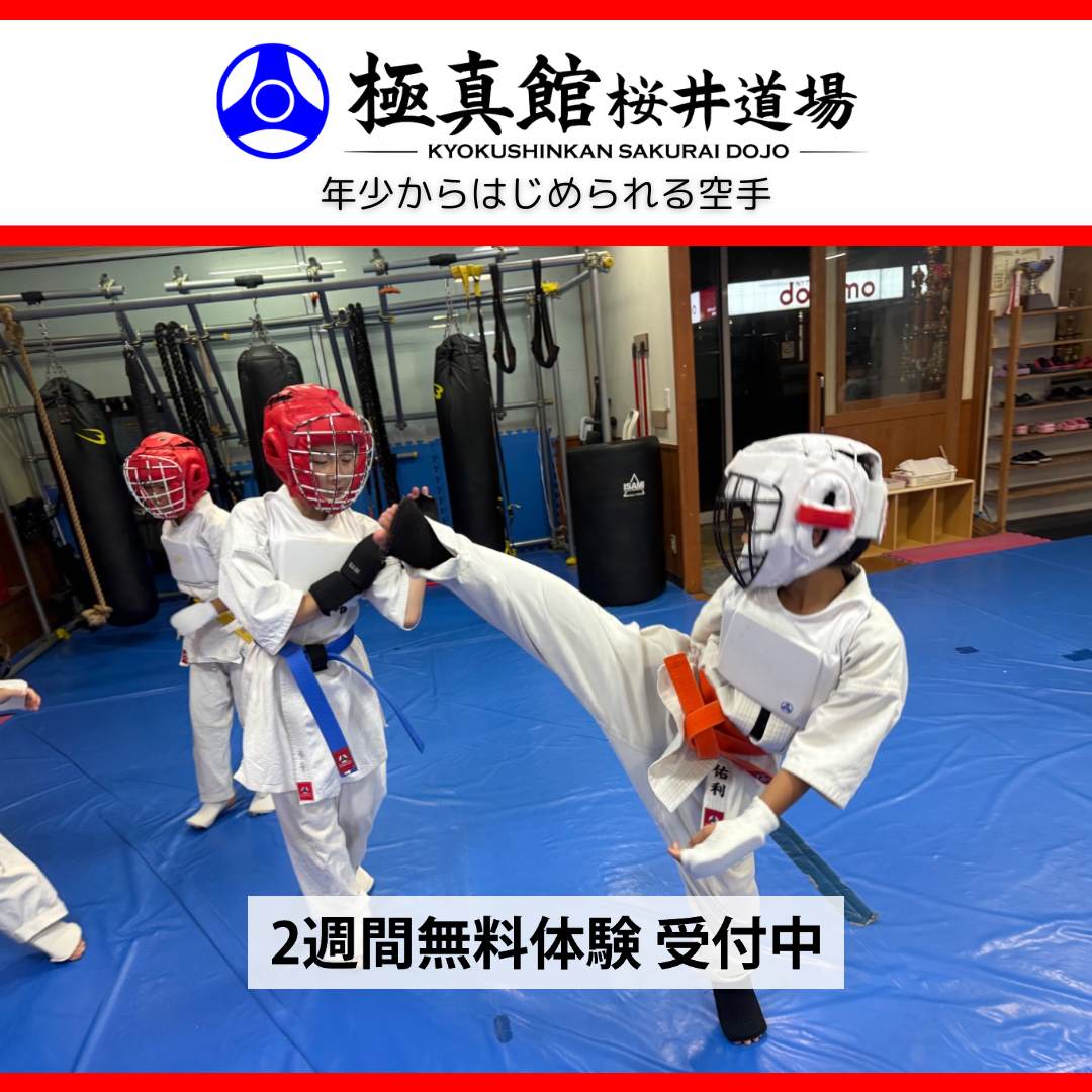 今日の桜井道場(2026/7/10金)