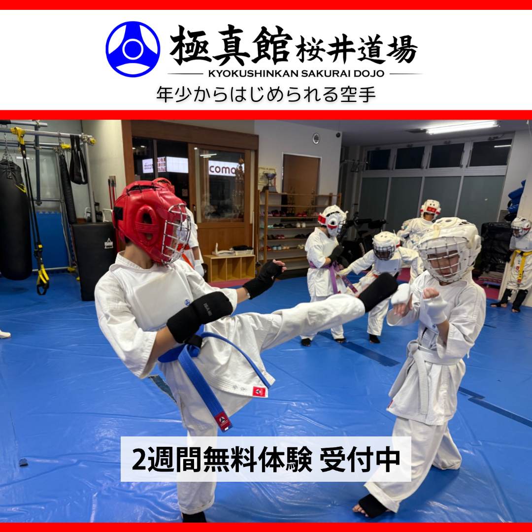 今日の桜井道場(2026/10/16金)