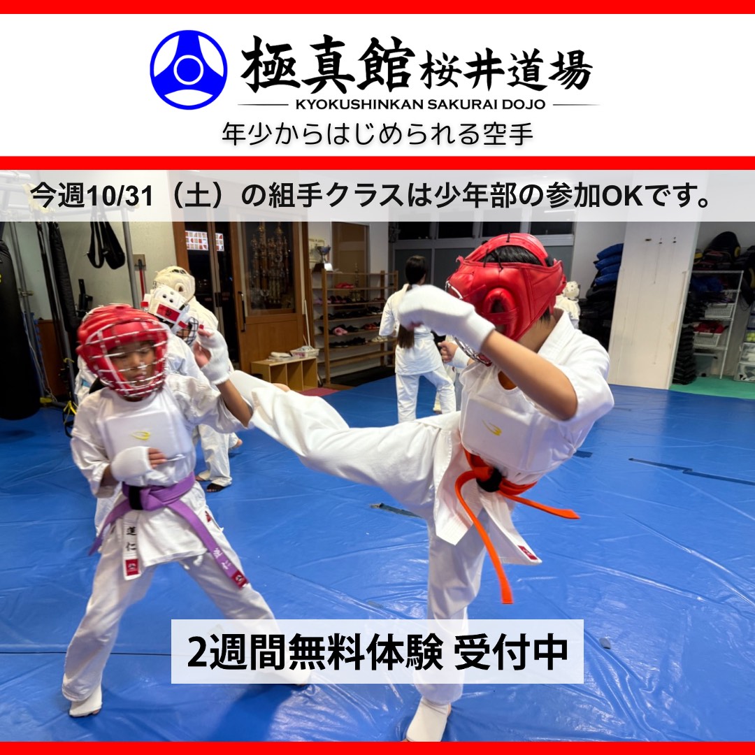 今日の桜井道場(2026/10/30金)